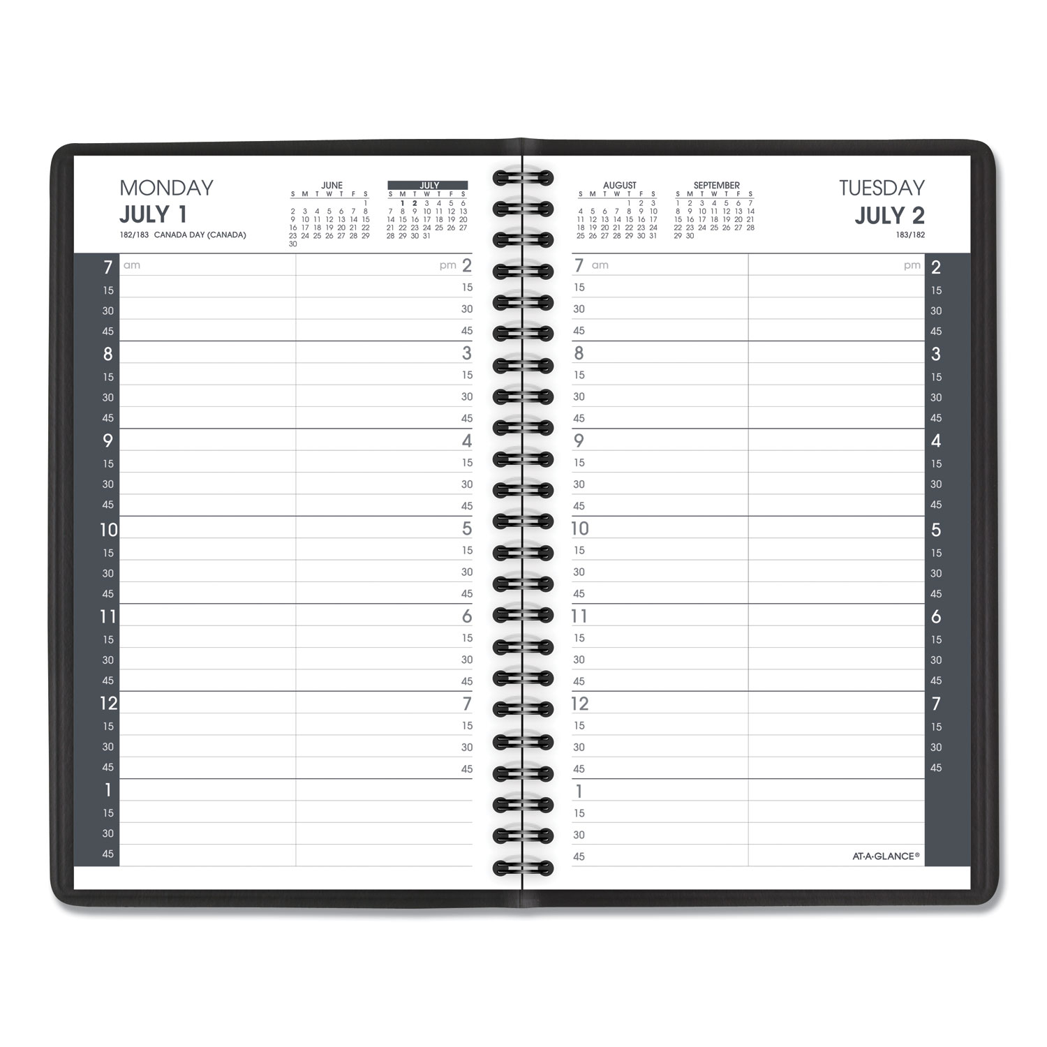 Daily Appointment Book With 15-Minute Appointments, 8 X 4