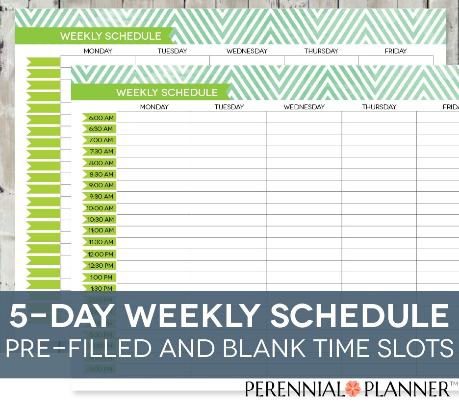 Daily Schedule Printable Editable Times Half-Hourly Weekly