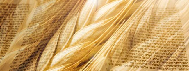 Self-Refinement And The Omer - Commentaries On The Torah - Video