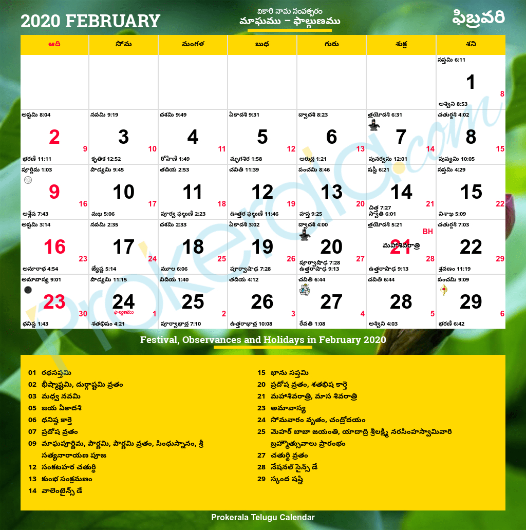 1984 Telugu Calendar February 2022 [Pdf 2.6Mb] - Alejandro