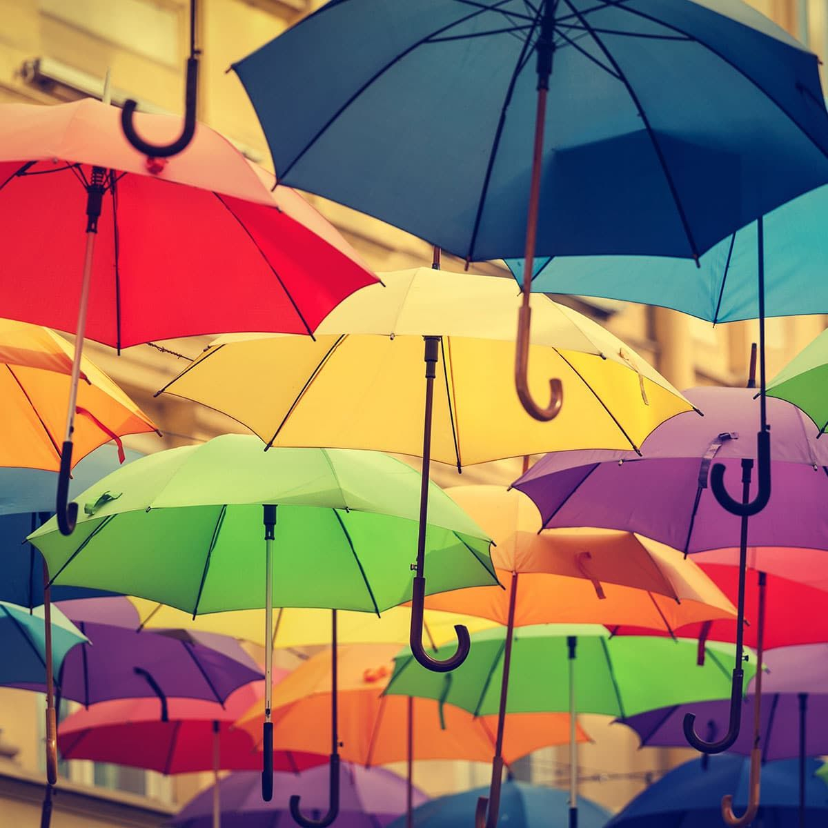 National Umbrella Day - February 10, 2022 | National Today