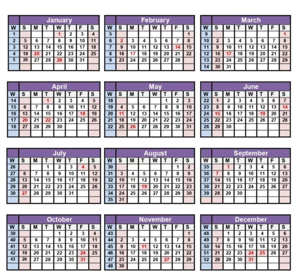 Annual calendar overview with week numbers for 2025