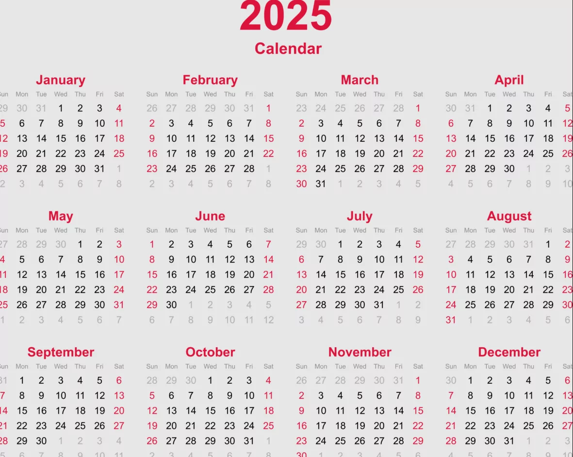 Full 2025 yearly calendar showing all twelve months